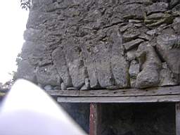 bellanamullia - 1116.JPG